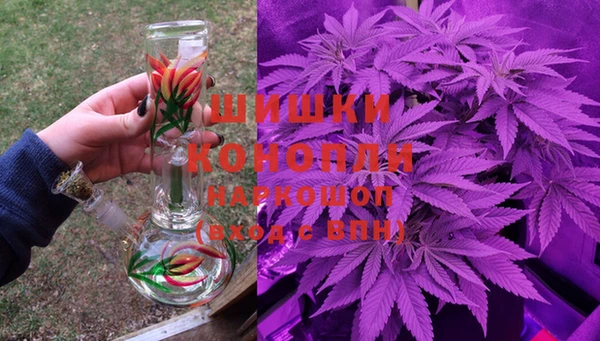 сатива Лихославль
