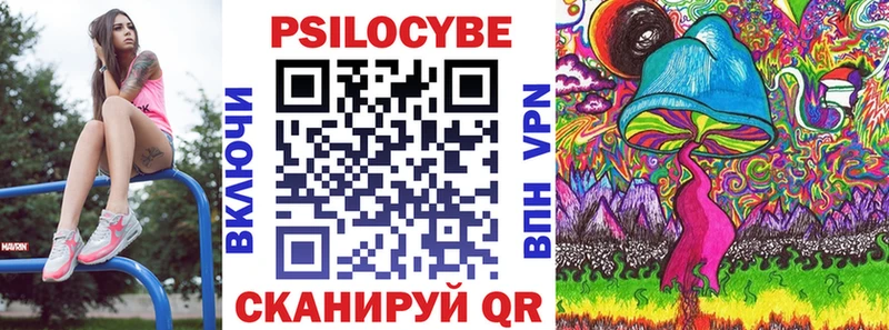 дарк нет Telegram  цена наркотик  Неман  Псилоцибиновые грибы Psilocybe  OMG вход 